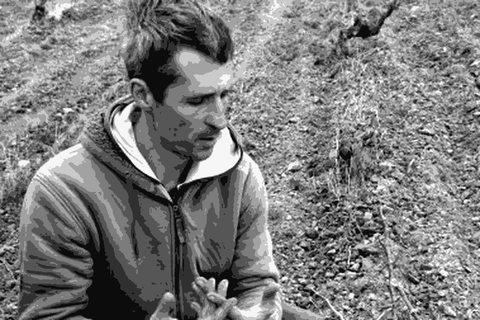 Philippe Wies of La Petite Baigneuse crouching in the Maury schist vineyard