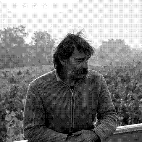 Jo Landron, natural wine producer, in his Muscadet vineyard in the Loire Valley, France