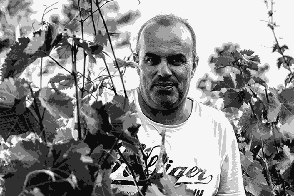 Cyriaque Rozier of Château Fontanès in the vineyard at Pic Saint-Loup, Languedoc