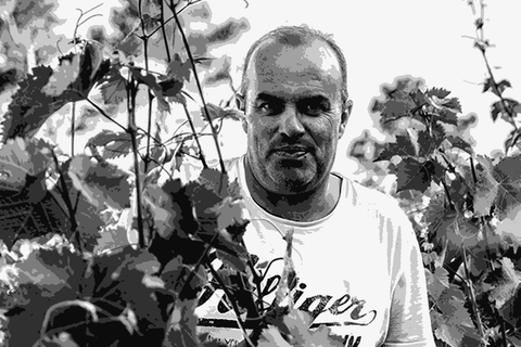 Cyriaque Rozier of Château Fontanès in the vineyard at Pic Saint-Loup, Languedoc