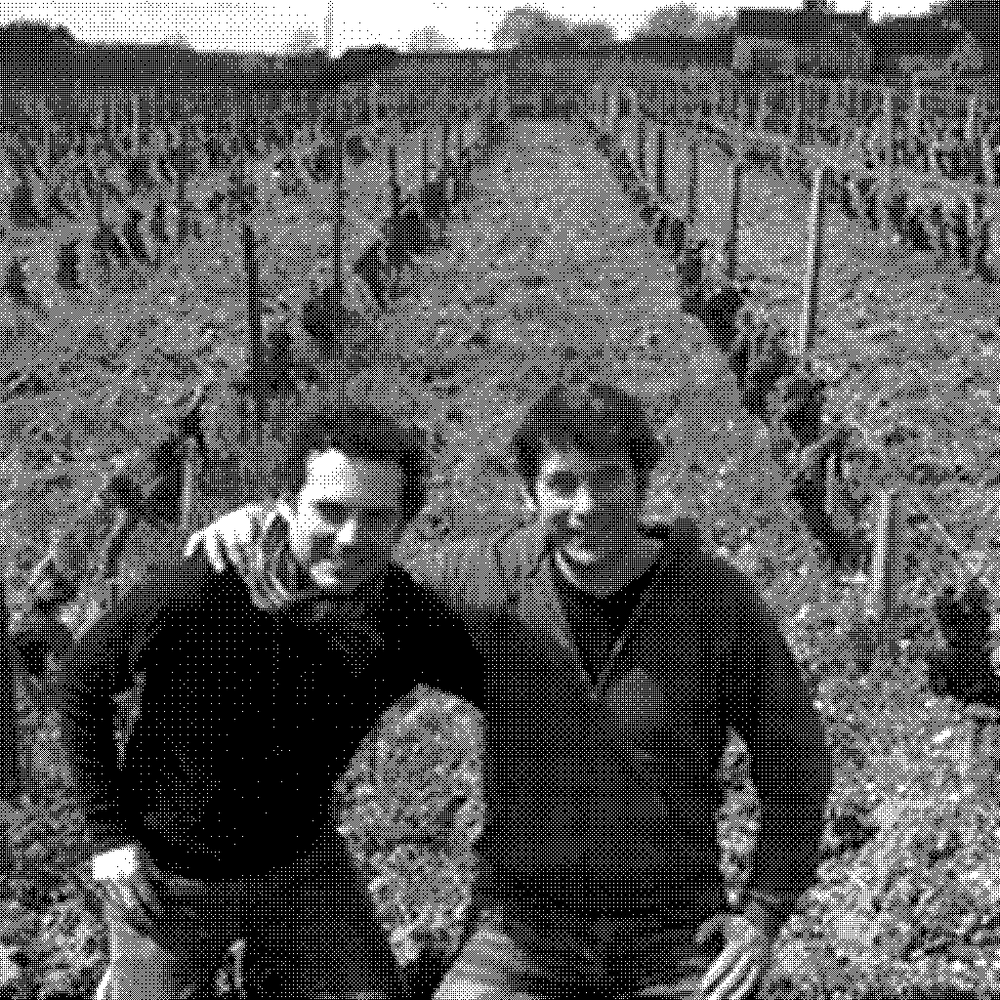 Philippe Mesnier and Nicolas Grosbois of Les Tetes, natural wine producer, in their vineyard in Touraine, Loire Valley, France
