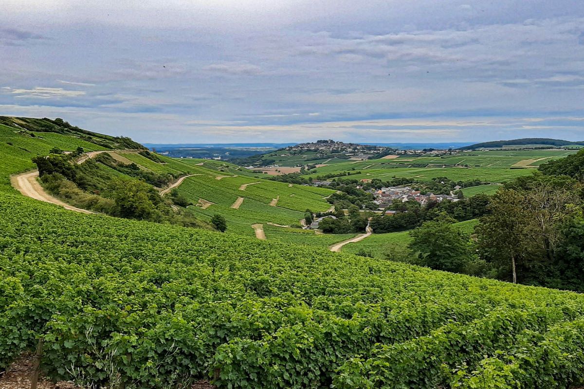 Loire Valley, Sancerre, Vineyards, Blog, Natural Wine, Primal Wine - primalwine.com