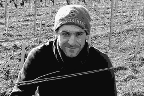 Wilfried Crochet working in his vineyard in Bulligny, Lorraine