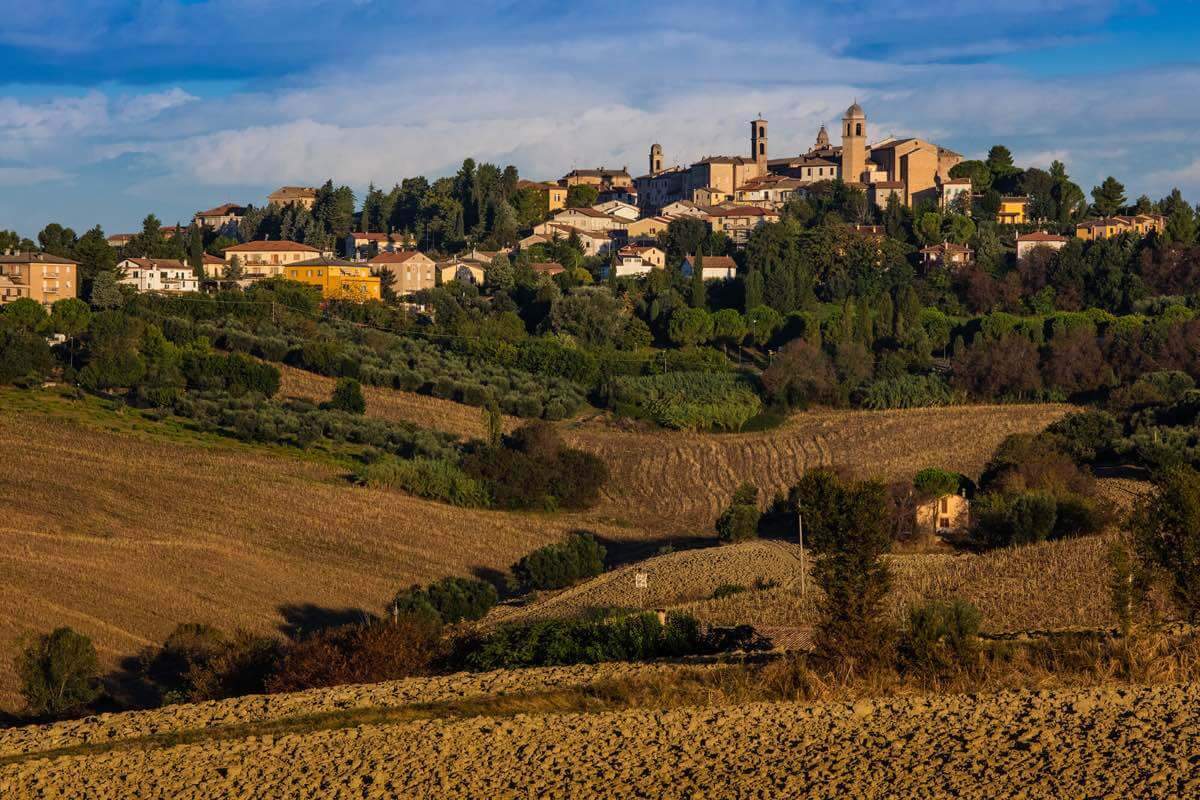 Le Marche region landscape, central Italy, natural wine, organic wine, primal wine - primalwine.com