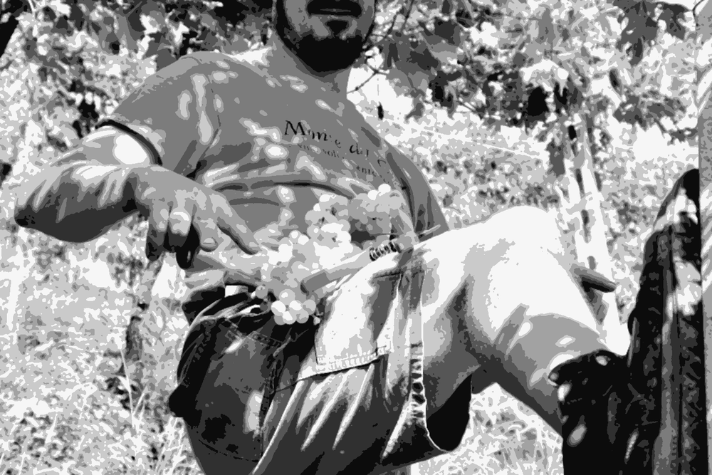 Marco Barba in the vineyard at Gambellara, Veneto, harvesting white grapes