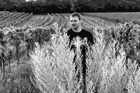 Markus Altenburger standing among cover crops in his Leithaberg vineyard in Jois, Burgenland, Austria