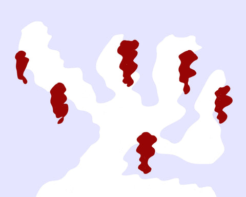How Red Wine Is Made: The Complete Guide From Grape to Glass