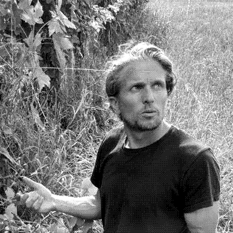Yannick Pelletier, natural wine producer, in his vineyard in Saint-Chinian, Languedoc, France