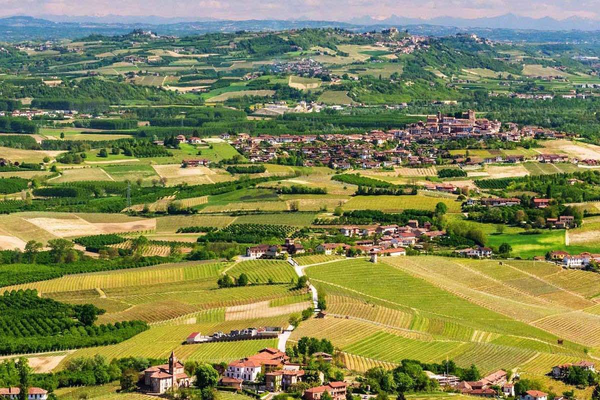 Piedmonte Landscape, La Morra, Barolo, Natural Wine, Primal Wine - primalwine.com