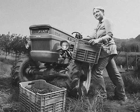 Podere Pradarolo Tractor, Emilia-Romagna, Natural Wine - primalwine.com