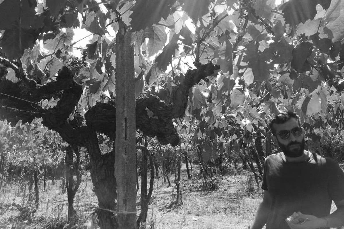 Progetto Sete Vini Naturali, Emiliano, Natural Wine, Lazio, Italy, Organic Farming, Organic Farming
