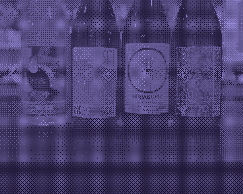 Progetto Sete vineyard in Lazio, Italy, showcasing natural wine enthusiasts enjoying the vineyard lifestyle.