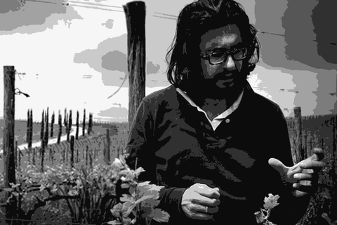 Stefano Amerighi of Cortona, Tuscany in his vineyard, examining vines