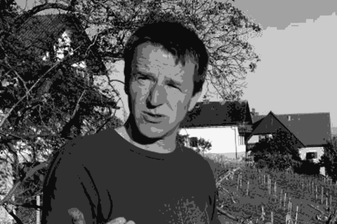 Franz Strohmeier in his West Styrian vineyard, talking about his vines