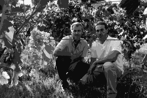 Brothers Gaetano and Pio Francesco Tamellini crouching among Garganega vines in their Costeggiola vineyard