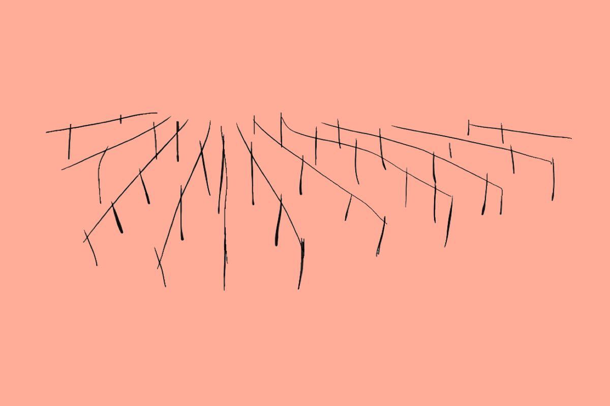 Blog post on Terroir and why it's important in natural wine - primalwine.com