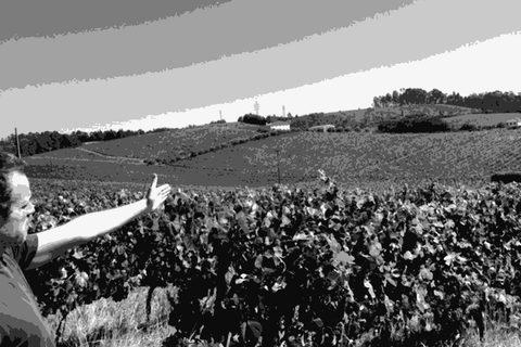 Tiago Teles pointing over his vineyard in Bairrada, Portugal