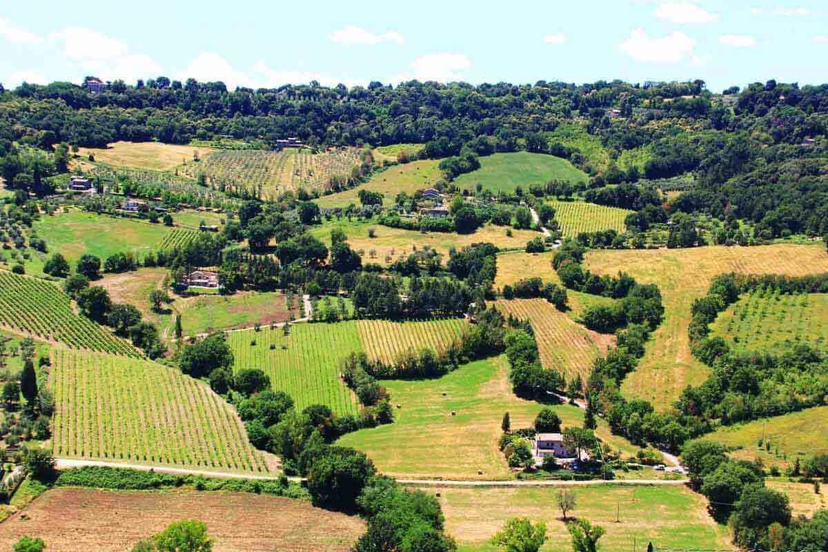 Umbria Landscape, Rolling Hills, Organic Wine, Natural Wine, Primal Wine - primalwine.com