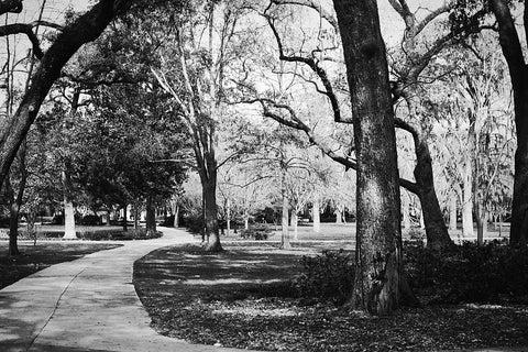 Black and white photo of Savannah