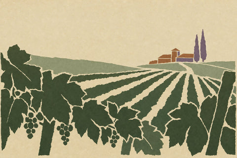 San Fereolo - natural wine producer profile | Primal Wine illustration