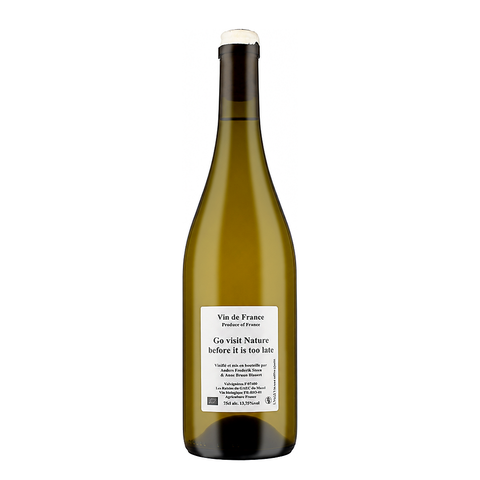 Anders Frederik Steen Go Visit Nature Before It Is Too Late 2022 – natural white wine bottle, France | Primal Wine