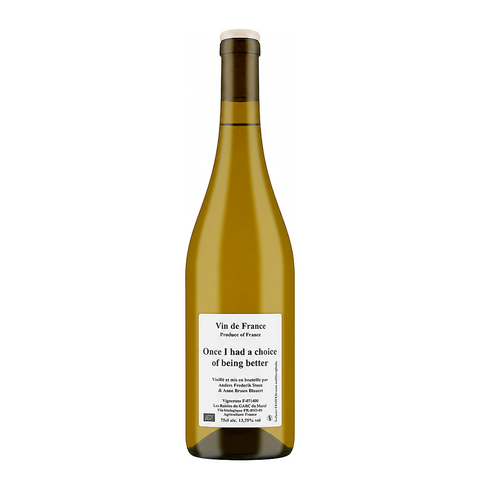 Anders Frederik Steen's 2021 'Once I had a choice of being better' is an organic orange wine from Ardèche, France, made from a field blend