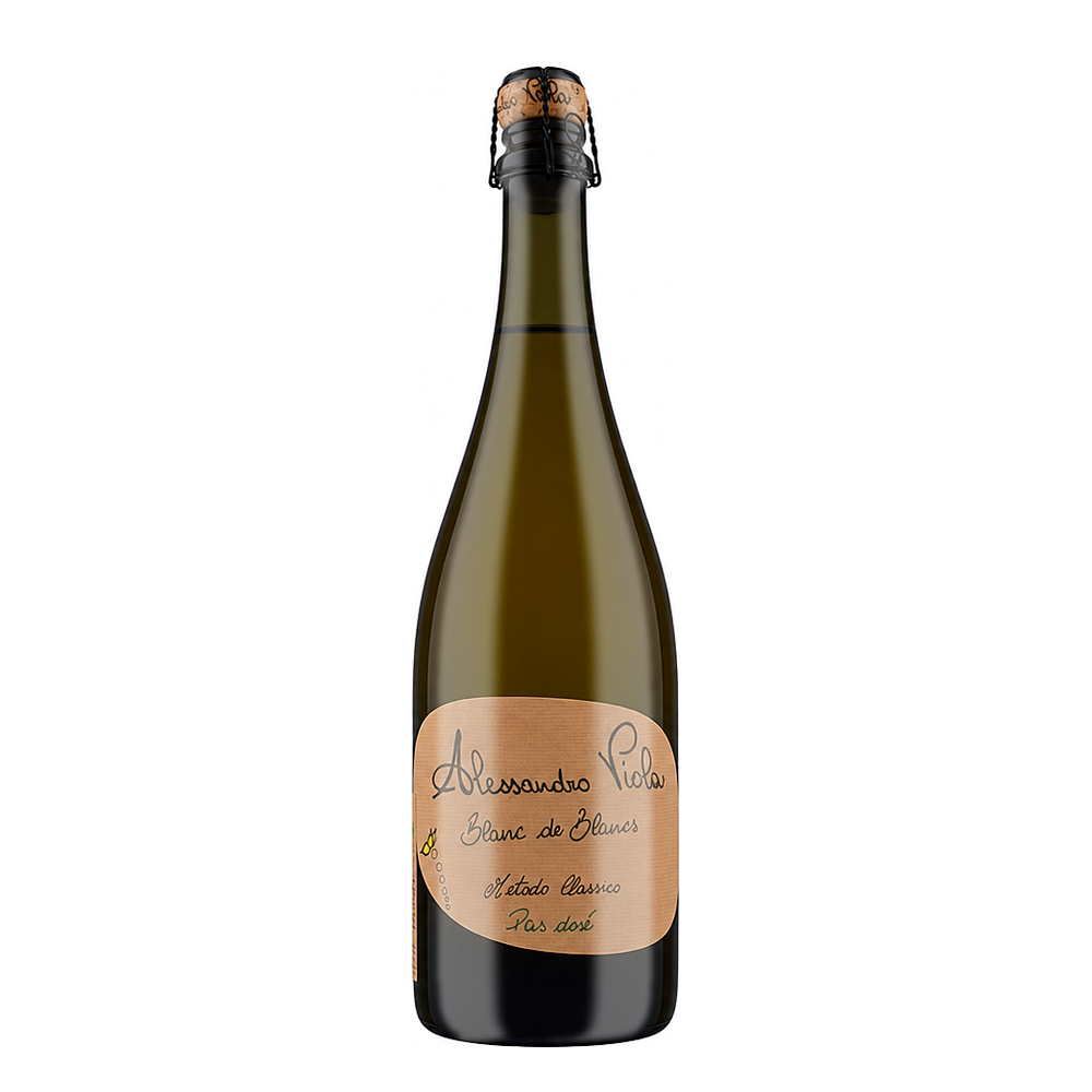 Alessandro Viola Blanc de Blancs NV | Organic Natural Wine