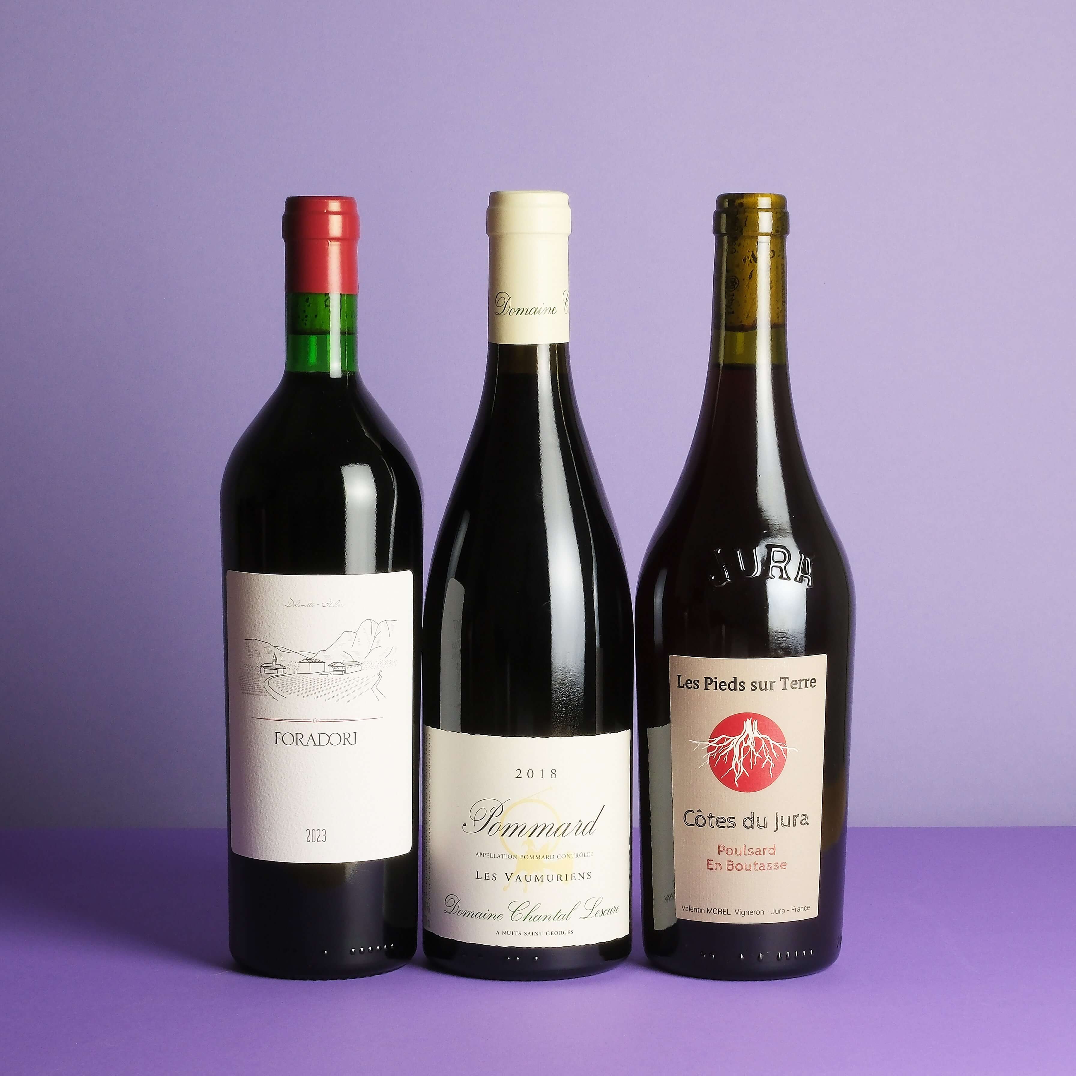 グートオッガウ　Gut Oggau Theodora Weiss 2022 2022 Gut Oggau, 'Theodora' Weiss, Burgenland, Austria – Leon