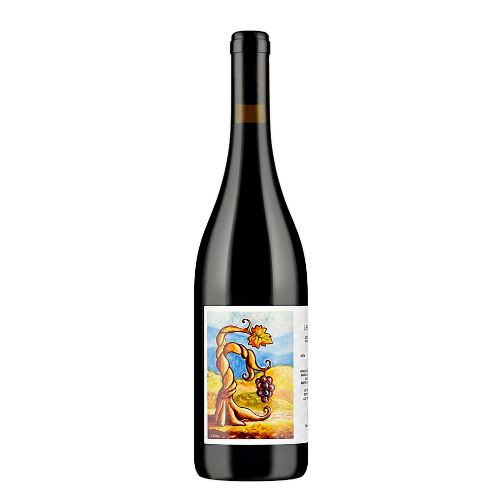 Cantina Giardino Aglianico Le Fole 2020, natural wine bottle at Primal Wine
