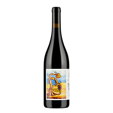 Cantina Giardino Aglianico Le Fole 2020, natural wine bottle at Primal Wine