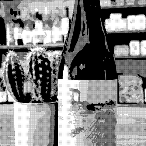 Agricola Foppiani — natural wine producer