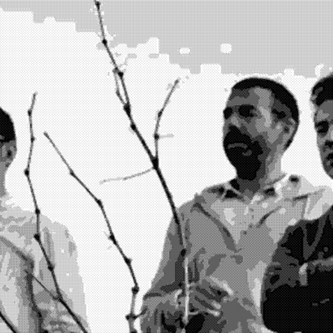 Agricola la Portera — natural wine producer