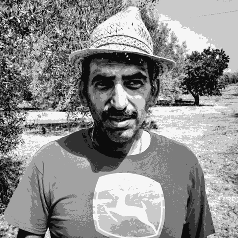 Agricola Marino — natural wine producer