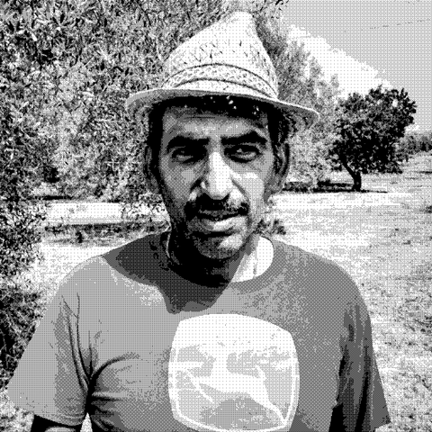 Agricola Marino — natural wine producer