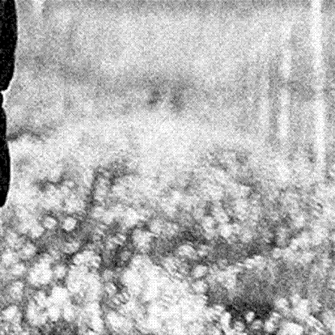 Alessandro Viola — natural wine producer