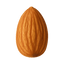 Organic almond nut with textured brown shell, perfect for healthy snacks and baking.