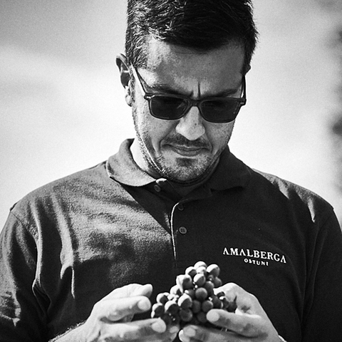 Amalberga, natural wine producer