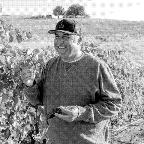 Andrew Jones, natural wine producer of Field Recordings, holding grapes in his vineyard in Paso Robles, California