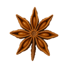 Star anise spice in the shape of a star, showcasing its unique brown color and textured seeds.