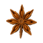 Star anise spice in the shape of a star, showcasing its unique brown color and textured seeds.