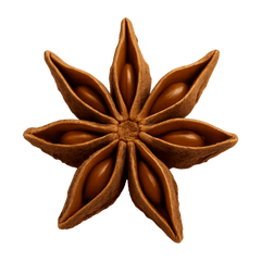 Star anise spice with eight star-shaped seed pods, commonly used in cooking and herbal remedies.