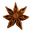 Star anise spice with eight star-shaped seed pods, commonly used in cooking and herbal remedies.
