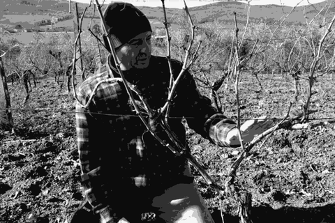 Antonio Camillo — natural wine producer