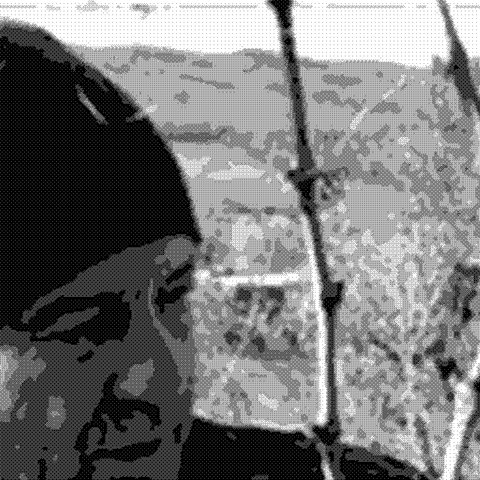 Antonio Camillo — natural wine producer