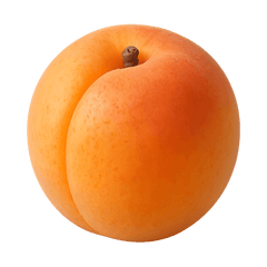 Apricot Icon Tasting | Primal Wine
