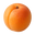 Apricot Icon Tasting | Primal Wine