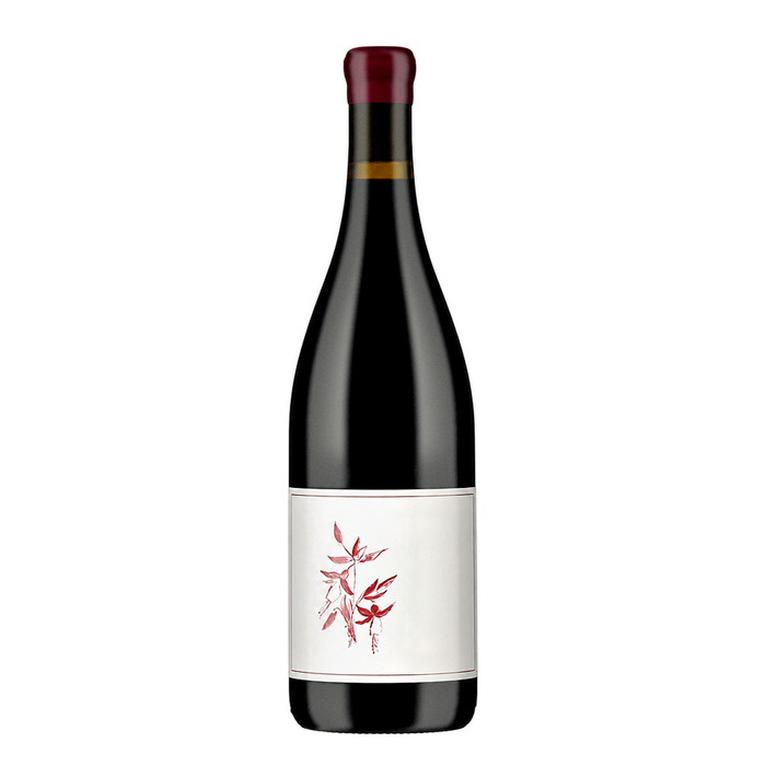 Arnot-Roberts Syrah Que Syrah Vineyard 2024, natural wine bottle at Primal Wine