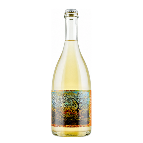 Tenuta Santa Lucia Ars Amandi 2021, natural wine bottle at Primal Wine