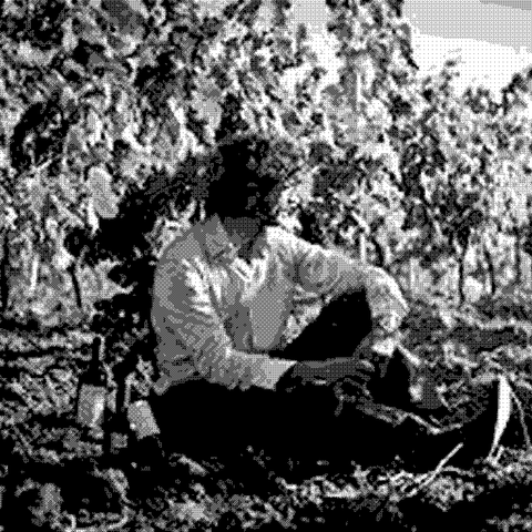 Azienda Agricola Siciliano — natural wine producer