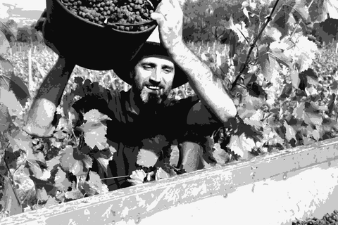 Azimut — natural wine producer